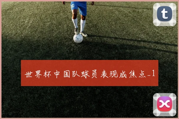 世界杯中国队球员表现成焦点_1